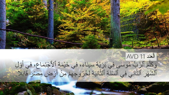 اَلْعَدَد 1:1 AVD Desktop Wallpaper - وَكَلَّمَ ٱلرَّبُّ مُوسَى - Desktop Bible Verse Wallpaper