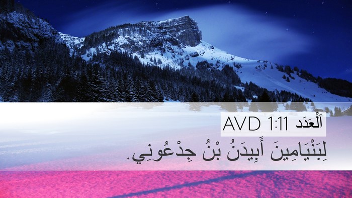 اَلْعَدَد 1:11 AVD Desktop Wallpaper - لِبَنْيَامِينَ أَبِيدَنُ - Desktop Bible Verse Wallpaper