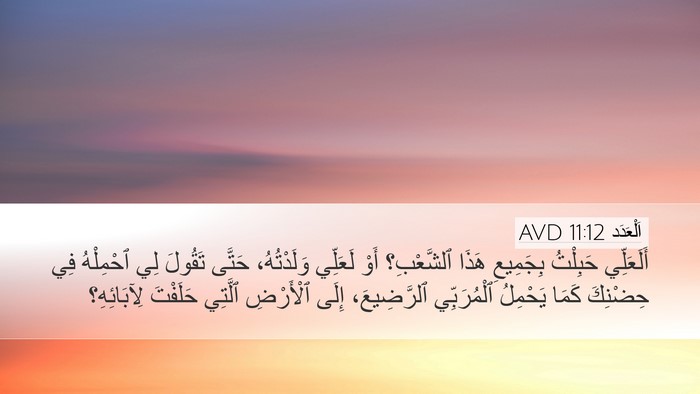 اَلْعَدَد 11:12 AVD Desktop Wallpaper - أَلَعَلِّي حَبِلْتُ - Desktop Bible Verse Wallpaper