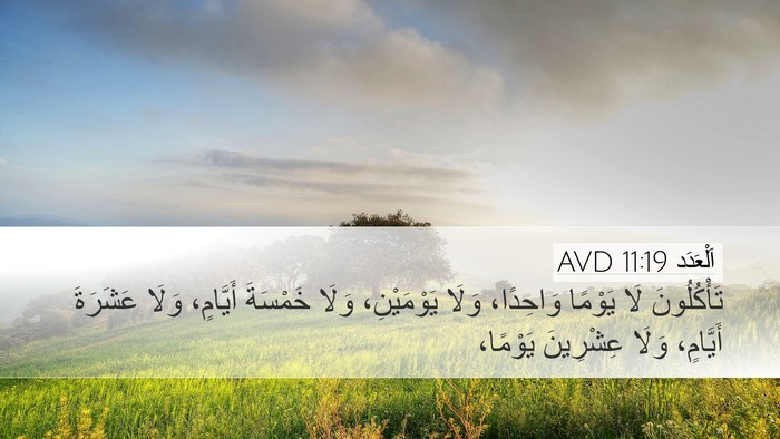 اَلْعَدَد 11:19 AVD Bible Verse Image