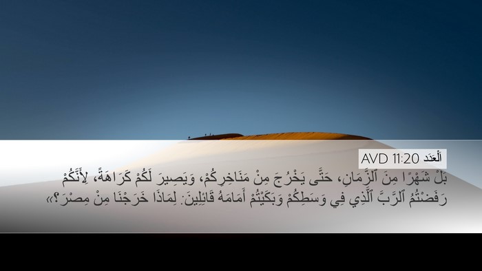 اَلْعَدَد 11:20 AVD Bible Verse Image