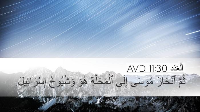 اَلْعَدَد 11:30 AVD Desktop Wallpaper - ثُمَّ ٱنْحَازَ مُوسَى - Desktop Bible Verse Wallpaper