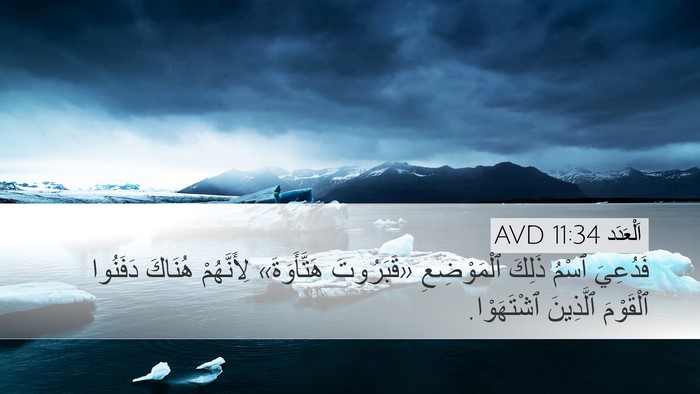 اَلْعَدَد 11:34 AVD Bible Verse Image
