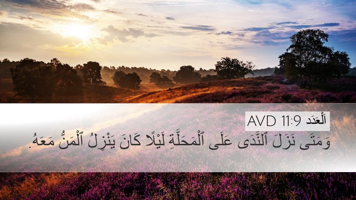 اَلْعَدَد 11:9 AVD Bible Verse Image