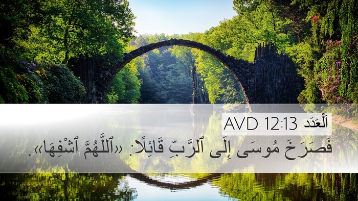 اَلْعَدَد 12:13 AVD Desktop Wallpaper - فَصَرَخَ مُوسَى إِلَى - Desktop Bible Verse Wallpaper