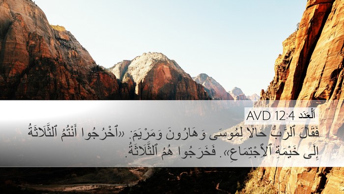 اَلْعَدَد 12:4 AVD Desktop Wallpaper - فَقَالَ ٱلرَّبُّ حَالًا - Desktop Bible Verse Wallpaper