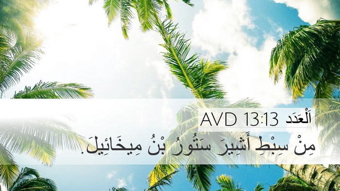 اَلْعَدَد 13:13 AVD Desktop Wallpaper - مِنْ سِبْطِ أَشِيرَ - Desktop Bible Verse Wallpaper