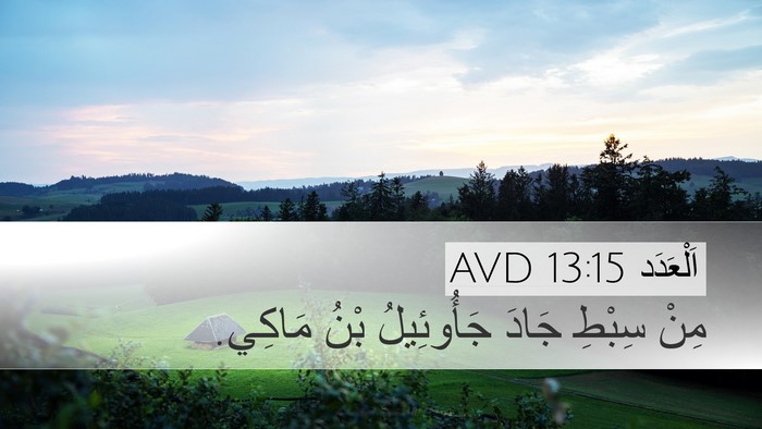 اَلْعَدَد 13:15 AVD Desktop Wallpaper - مِنْ سِبْطِ جَادَ - Desktop Bible Verse Wallpaper