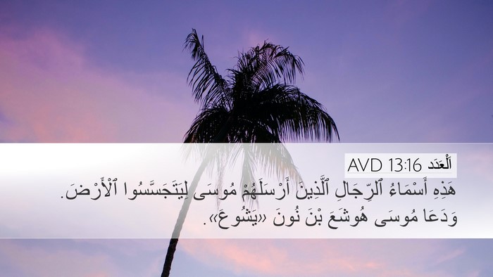 اَلْعَدَد 13:16 AVD Bible Verse Image