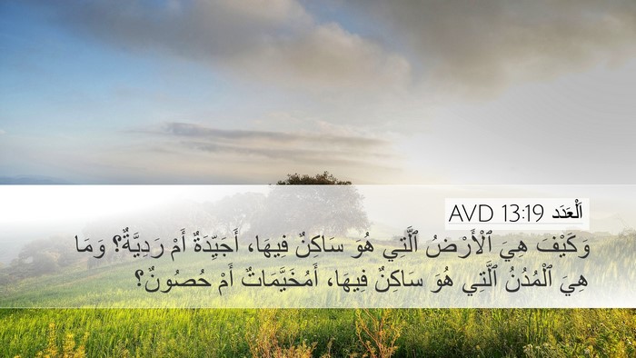 اَلْعَدَد 13:19 AVD Desktop Wallpaper - وَكَيْفَ هِيَ ٱلْأَرْضُ - Desktop Bible Verse Wallpaper
