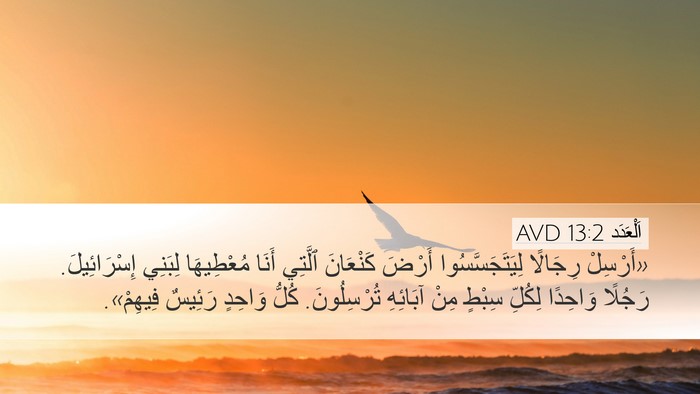 اَلْعَدَد 13:2 AVD Bible Verse Image