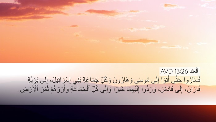 اَلْعَدَد 13:26 AVD Bible Verse Image
