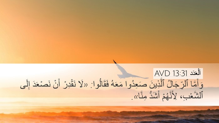 اَلْعَدَد 13:31 AVD Bible Verse Image