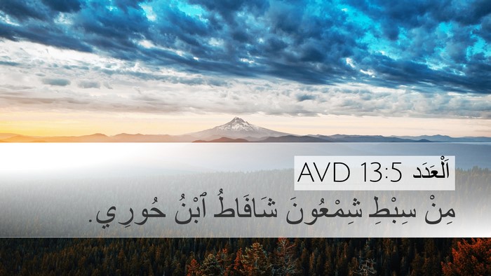 اَلْعَدَد 13:5 AVD Desktop Wallpaper - مِنْ سِبْطِ شِمْعُونَ - Desktop Bible Verse Wallpaper