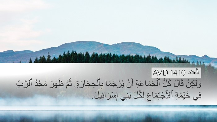 اَلْعَدَد 14:10 AVD Bible Verse Image