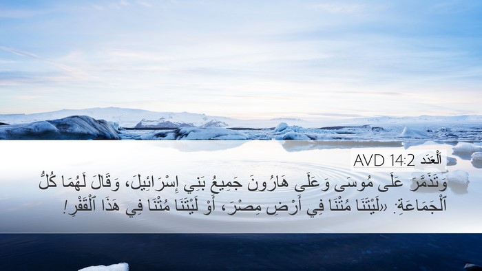 اَلْعَدَد 14:2 AVD Bible Verse Image