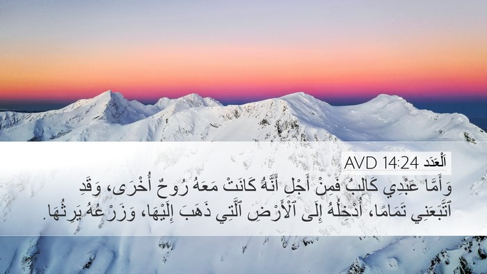 اَلْعَدَد 14:24 AVD Bible Verse Image