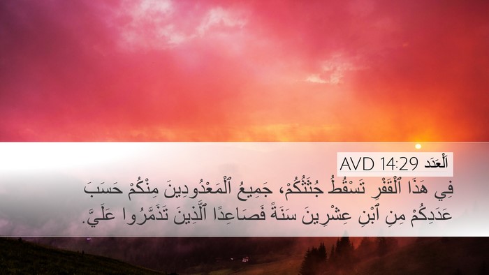 اَلْعَدَد 14:29 AVD Bible Verse Image