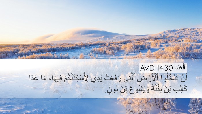 اَلْعَدَد 14:30 AVD Bible Verse Image