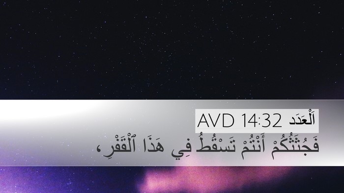 اَلْعَدَد 14:32 AVD Bible Verse Image