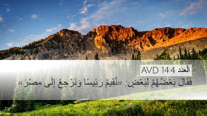 اَلْعَدَد 14:4 AVD Bible Verse Image