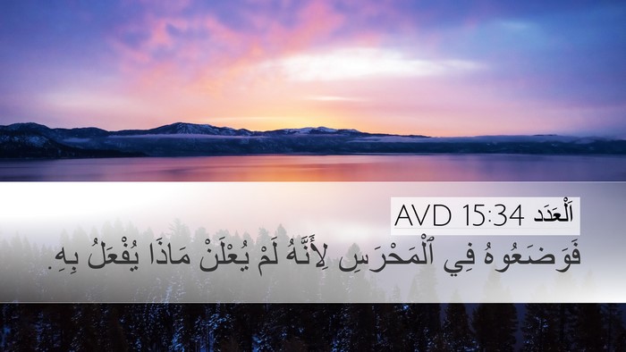 اَلْعَدَد 15:34 AVD Bible Verse Image