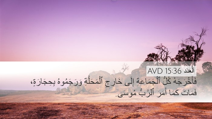 اَلْعَدَد 15:36 AVD Bible Verse Image