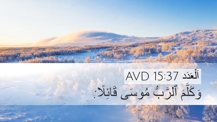 اَلْعَدَد 15:37 AVD Bible Verse Image