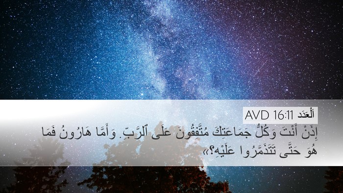 اَلْعَدَد 16:11 AVD Bible Verse Image