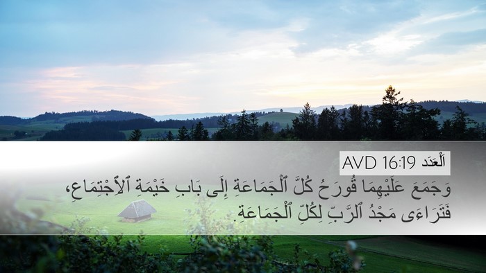 اَلْعَدَد 16:19 AVD Bible Verse Image