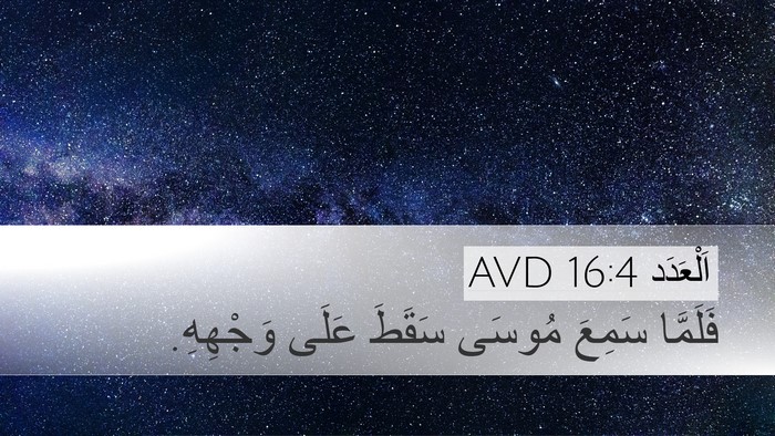 اَلْعَدَد 16:4 AVD Desktop Wallpaper - فَلَمَّا سَمِعَ مُوسَى - Desktop Bible Verse Wallpaper