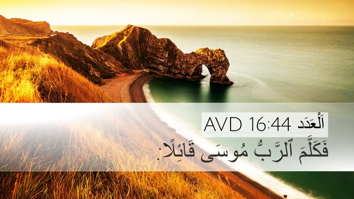 اَلْعَدَد 16:44 AVD Bible Verse Image
