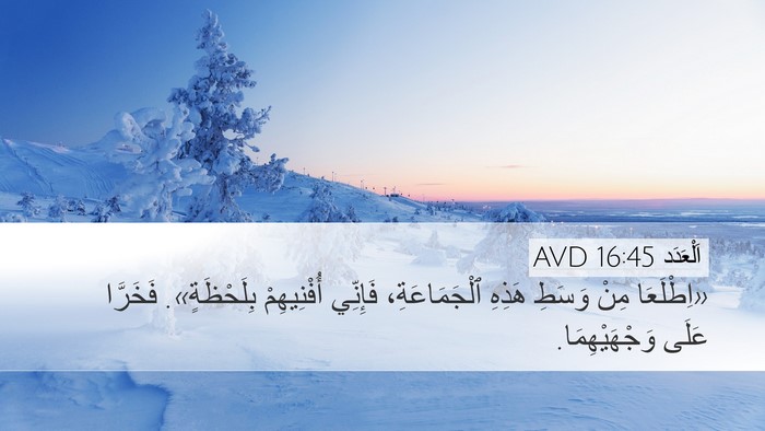 اَلْعَدَد 16:45 AVD Bible Verse Image