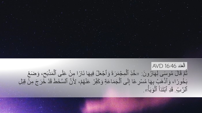 اَلْعَدَد 16:46 AVD Bible Verse Image