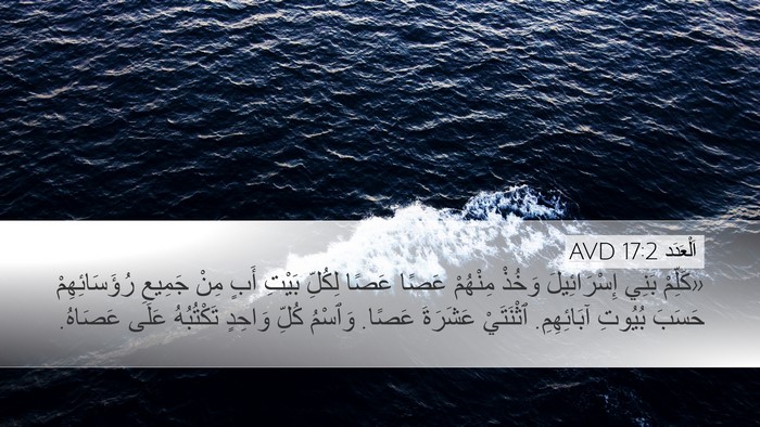 اَلْعَدَد 17:2 AVD Bible Verse Image