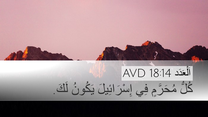 اَلْعَدَد 18:14 AVD Bible Verse Image