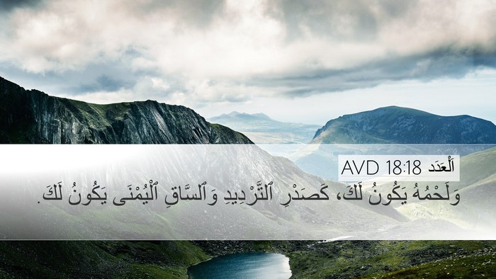 اَلْعَدَد 18:18 AVD Bible Verse Image
