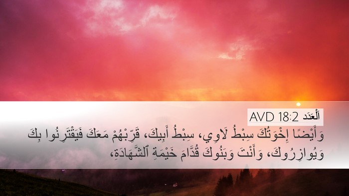 اَلْعَدَد 18:2 AVD Bible Verse Image