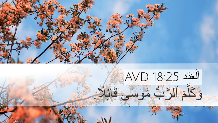 اَلْعَدَد 18:25 AVD Desktop Wallpaper - وَكَلَّمَ ٱلرَّبُّ مُوسَى - Desktop Bible Verse Wallpaper