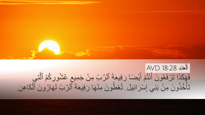اَلْعَدَد 18:28 AVD Desktop Wallpaper - فَهَكَذَا تَرْفَعُونَ - Desktop Bible Verse Wallpaper