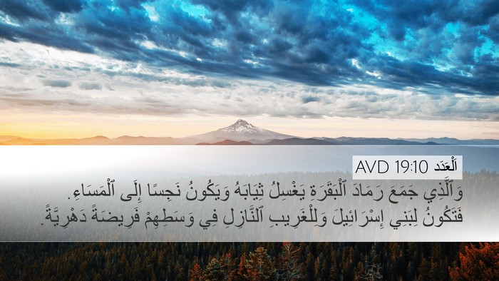 اَلْعَدَد 19:10 AVD Bible Verse Image