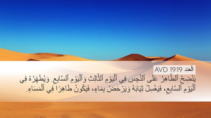 اَلْعَدَد 19:19 AVD Bible Verse Image
