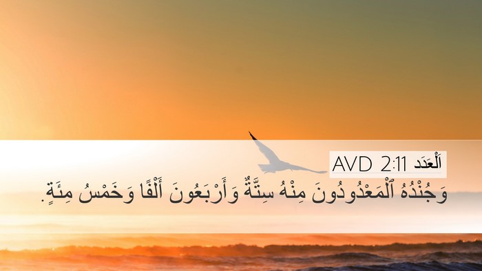 اَلْعَدَد 2:11 AVD Bible Verse Image