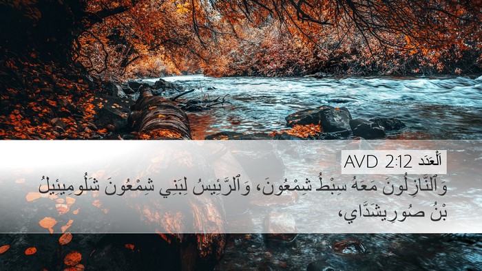 اَلْعَدَد 2:12 AVD Bible Verse Image