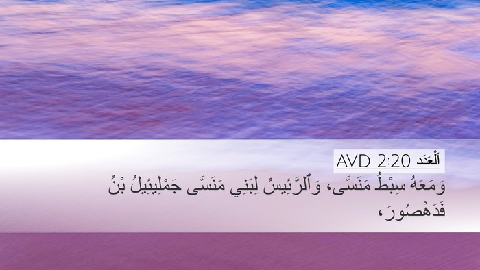 اَلْعَدَد 2:20 AVD Bible Verse Image
