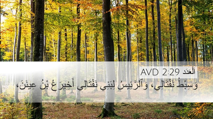 اَلْعَدَد 2:29 AVD Bible Verse Image