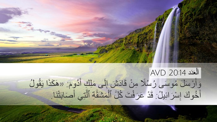 اَلْعَدَد 20:14 AVD Bible Verse Image
