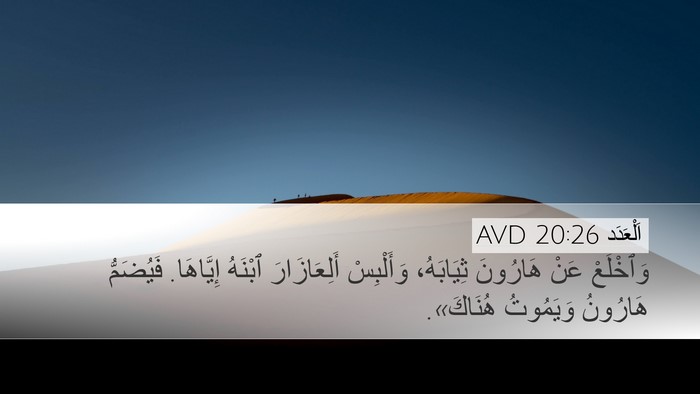 اَلْعَدَد 20:26 AVD Bible Verse Image