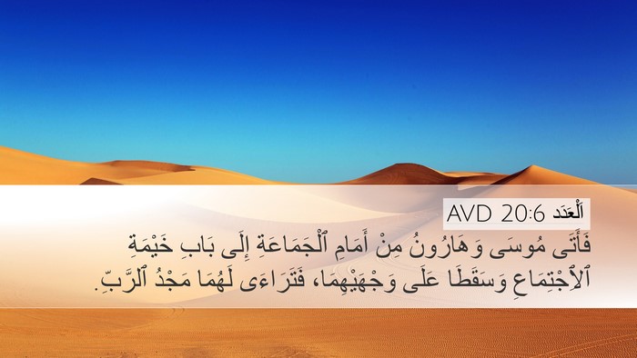 اَلْعَدَد 20:6 AVD Bible Verse Image