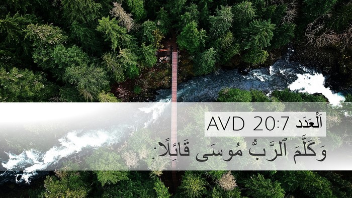 اَلْعَدَد 20:7 AVD Desktop Wallpaper - وَكَلَّمَ ٱلرَّبُّ مُوسَى - Desktop Bible Verse Wallpaper